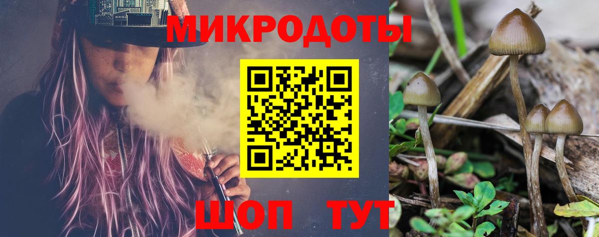 Галлюциногенные грибы мицелий Касимов